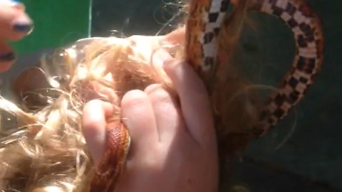 Woman Finds Snake Tangled In Boy's Hair