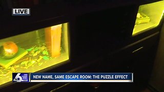 Intro to the Puzzle Effect