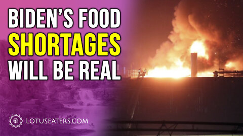 The Mysterious Food Processing Plant Fires