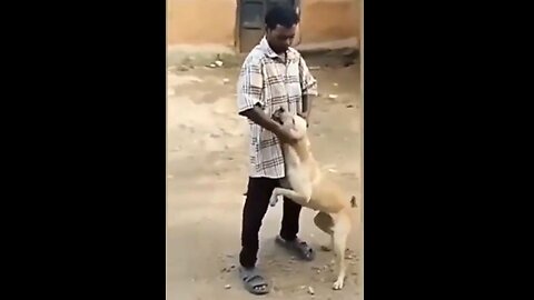 Man Abusing Dog Gets The Horns