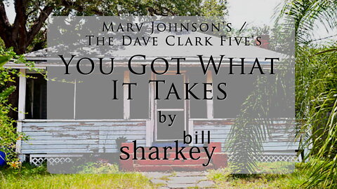 You Got What It Takes - Marv Johnson / Dave Clark Five, The (cover-live by Bill Sharkey)