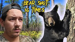 Bear shot 16 times in Florida neighborhood