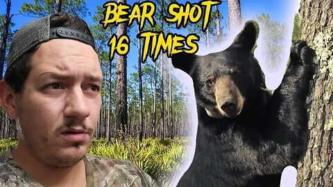 Bear shot 16 times in Florida neighborhood