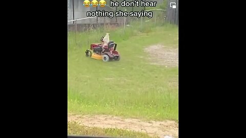 Dog Mowing Lawn For Dog Food. Passersby think he's going crazy. #youtubeshorts #pets #animals