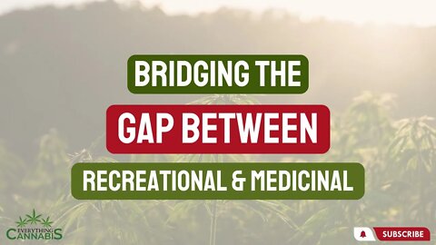 Bridging The Gap Between Recreational & Medical Cannabis