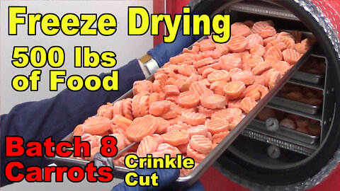 Freeze Drying Your First 500 lbs of Food - Batch 8 - Carrots, Crinkle Cut, Frozen