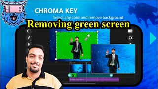 How to remove green screen (do chromakey) in premiere and after effects