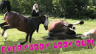 Bathing Our Horses Gone Wrong!