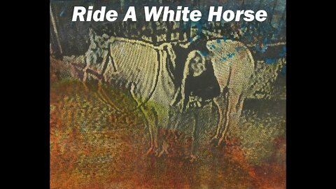 Ride a White Horse