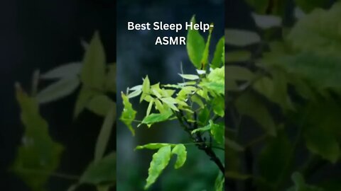 Rain Noise | Best Sleep Help | ASMR- who wouldn't sleep with this sound?😆 #shorts