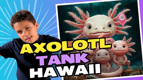 Axolotl Tank