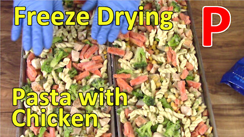 Freeze Drying Bird's Eye Garlic Chicken With Pasta - Part 2