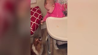 Adorable Baby Girl Shares Chips With Her Dog