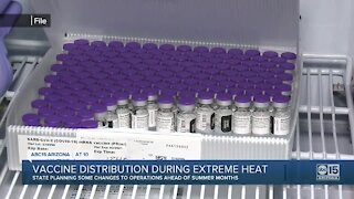 How does vaccine distribution work in extreme heat?