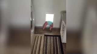 "Toddler Boy Tries To Go Through Doggy Door But Gets Stuck"