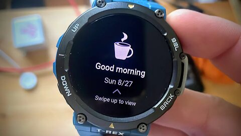 Amazfit T-Rex 2 - How To Morning Report...