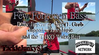 Few Forgotten Bass (TackleJunky81)