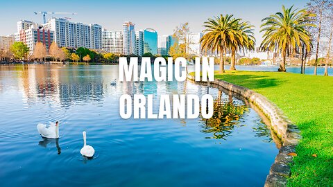 Magic in Orlando #urban #music #adventure #travelmusic #orlando #magickingdom