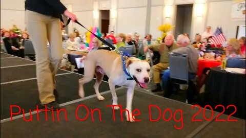 PUTTIN ON THE DOG (FASHION SHOW) PART 1