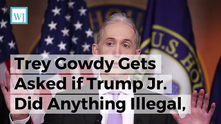 Trey Gowdy Gets Asked if Trump Jr. Did Anything Illegal, His Answer Couldn’t Be More Clear