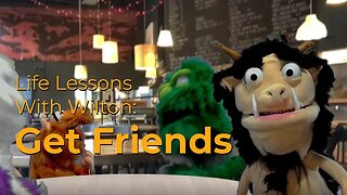 Life Lessons With Wilton: Get Friends!