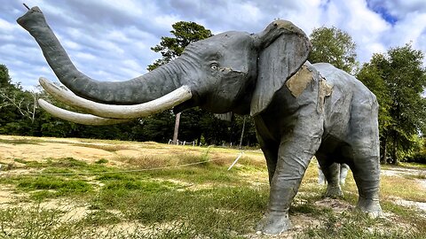 Roadside Oddities in Rural North Carolina