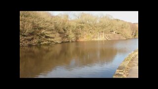 Sparth Reservoir, River Colne Huddersfield narrow cannel and a Heron