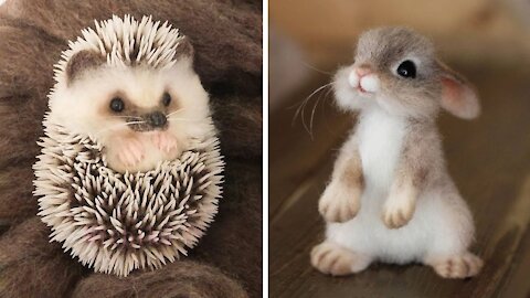 Awww 😍😍😍 Cutest animals compilation