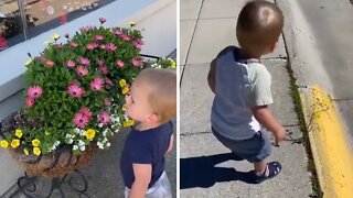 Mom Teaches Toddler To Smell Flowers, Now He Stops For Every Single Weed!