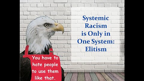 Systemic Racism is Only in One System: Elitism