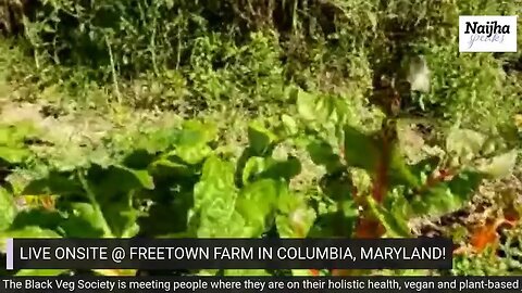 LIVE @ FREETOWN FARM IN COLUMBIA, MD!