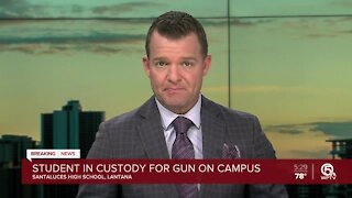 Student in custody after gun found on campus at Santaluces High School
