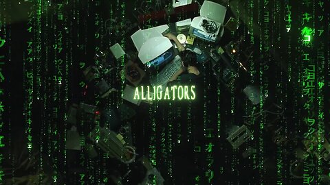 D Anon//Alligators Extended REMatrIX