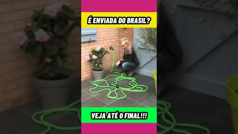 MANGUEIRA DE JARDIM - MANGUEIRA MÁGICA É ENVIADA DO BRASIL? ORIGINAL? É BOA? FUNCIONA? #shorts