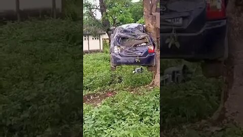 cars will climb trees
