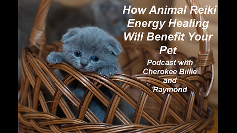 How Animal Reiki Energy Healing Will Benefit Your Pet By Cherokee Billie