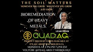 Bioremediation Of Heavy Metals