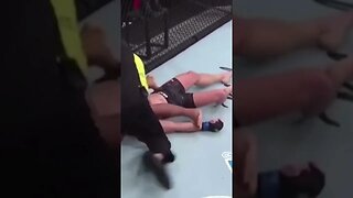 MMA Monkeez Knockout Videos 666 #KO