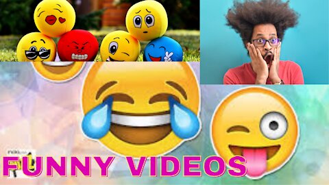 Funny videos