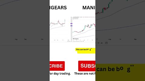 3 great stocks at 200-DMA and 50-DMA for swing buying on 24-11-2023 #shorts #trading #stockanalysis