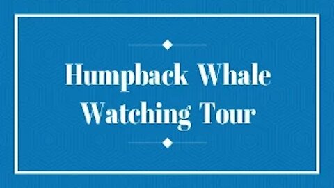 MEXICO Humpback Whale Watching 2017