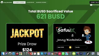 SafuuX BUSD sacrifice with JonnyBlockchain UPDATE