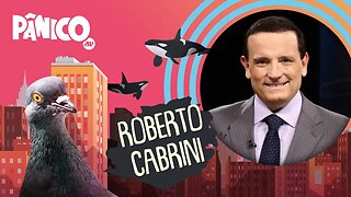 ROBERTO CABRINI - PÂNICO - AO VIVO - 01/12/20