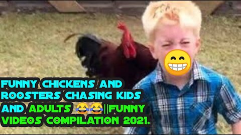 Funny chickens and roosters Chasing kids and adults 😂😂||funny videos compilation