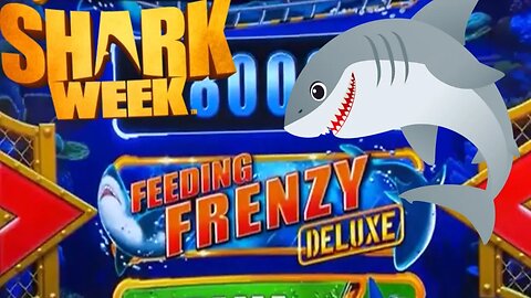 BEST CASE SCENARIO! 🦈 SUPER RARE FEEDING FRENZY BONUS!