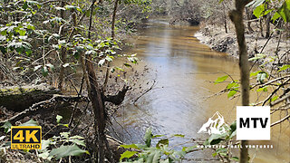 Hiking Turkey Creek Trail with Mountain Trail Ventures | Big Thicket National Preserve Adventure!