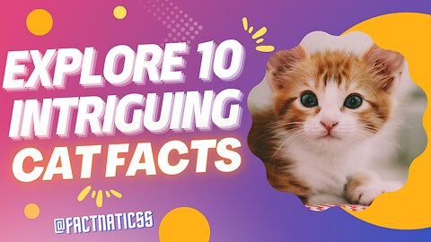 Explore 10 Intriguing Cat Facts 🐱😻 #CatFacts #Feline #PetLovers #Cats #Facts