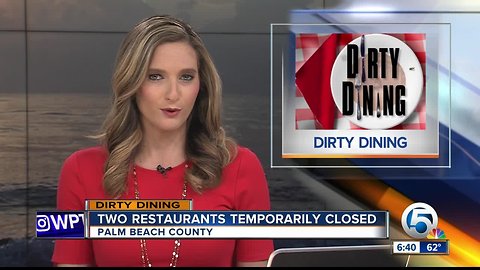 DIRTY DINING: Roach activity found at restaurants in Delray Beach and West Palm Beach