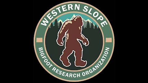 Bigfoot, sasquatch structures and a foot print with a hair, Western Slope Bigfoot