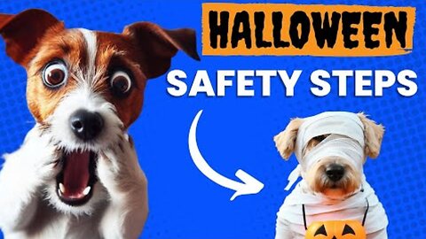 How To Keep Your Dog Safe This Halloween🐶🎃👻